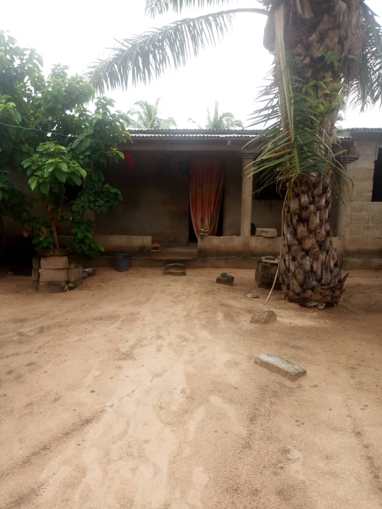 N° 4689 :
                            Terrain à vendre , Adeti kope, Lome, Togo : 6 000  000 XOF/vie