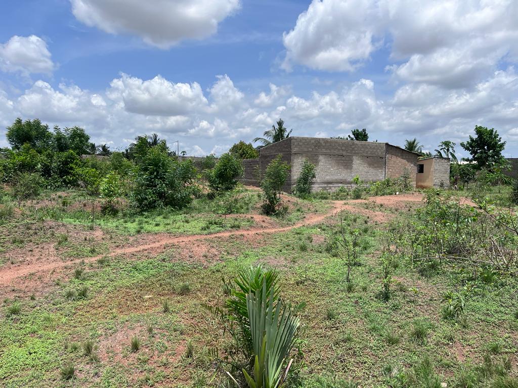 N° 5314 :
                            Terrain à vendre , Adetikope, Lome, Togo : 6 500  000 XOF/vie