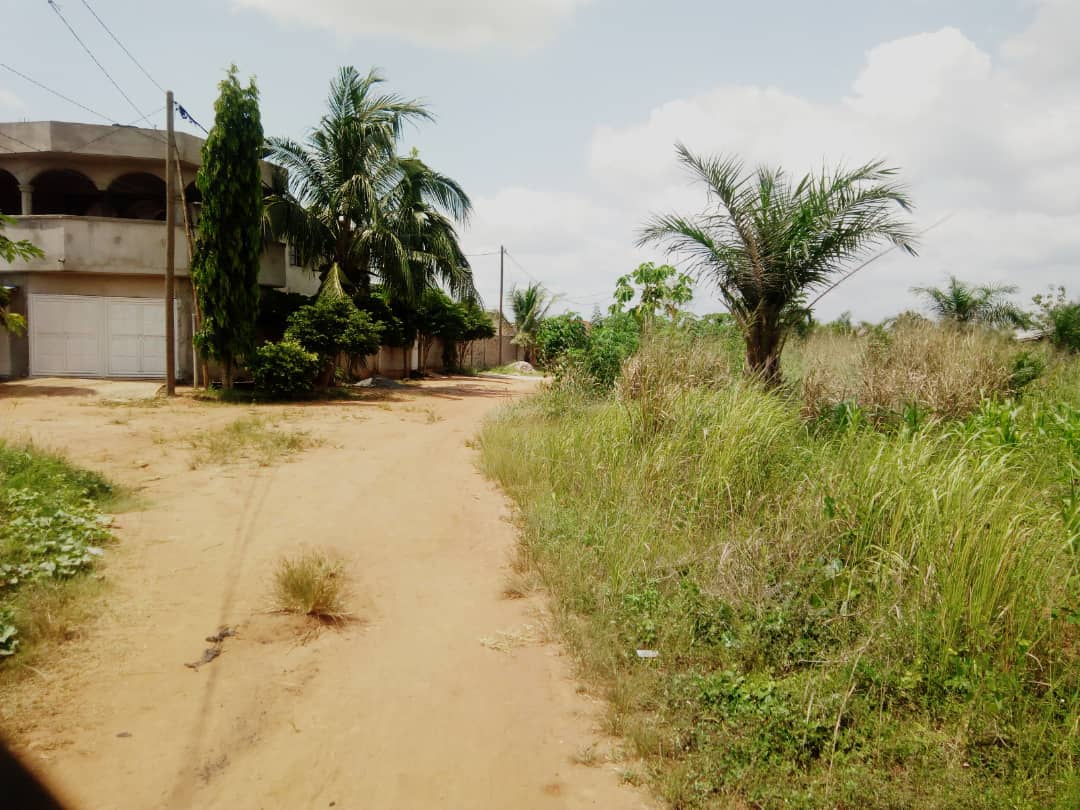 N° 4381 :
                            Terrain à vendre , Zanguera , Lome, Togo : 7 500  000 XOF/vie