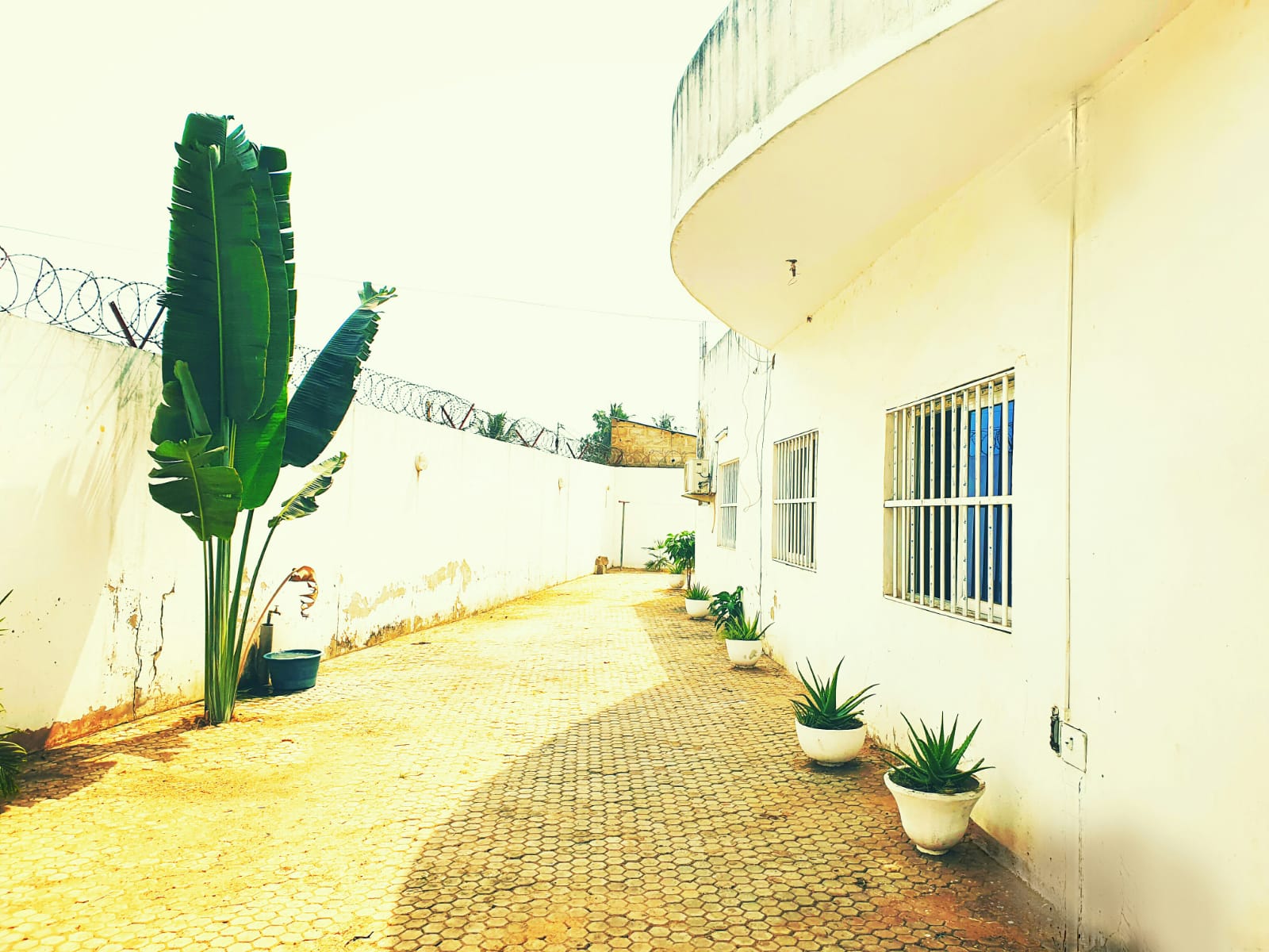 N° 5188 :
                            Villa à louer , Sagbado, Lome, Togo : 300 000 XOF/mois