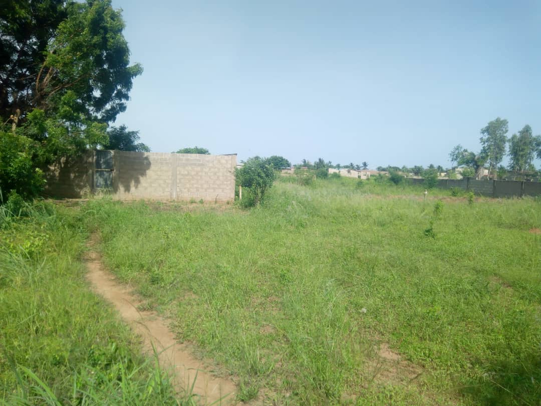 N° 4563 :
                            Terrain à vendre , Kleme agokpanou, Lome, Togo : 7 000  000 XOF/vie