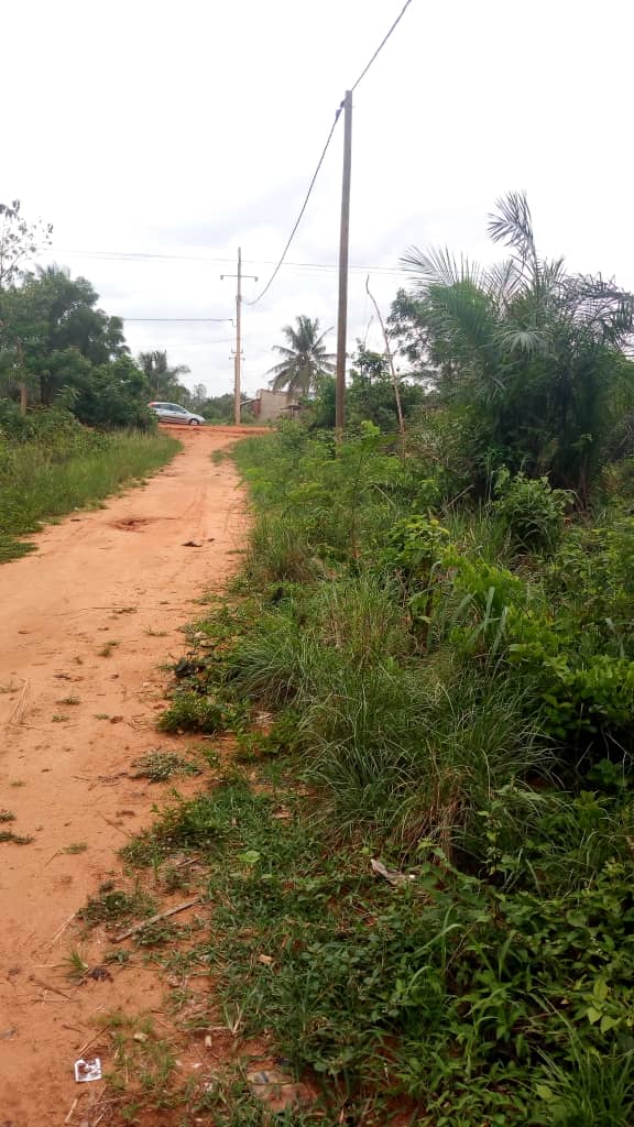 N° 4486 :
                            Terrain à vendre , Adeti kope, Lome, Togo : 7 000  000 XOF/vie