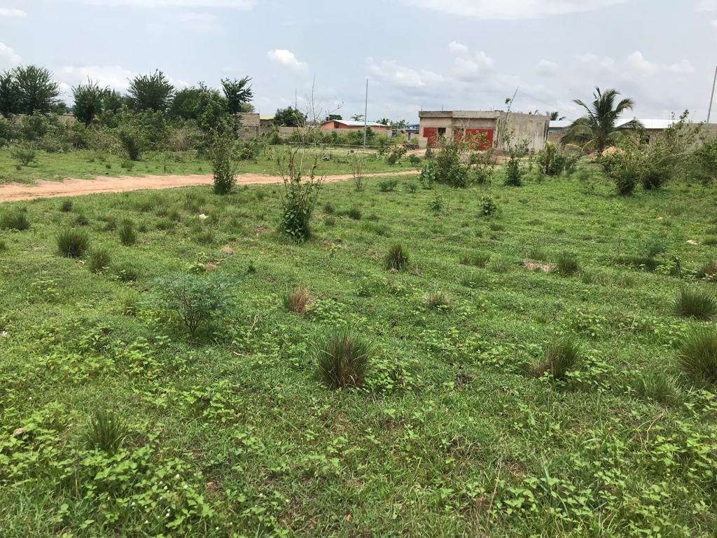 N° 5324 :
                            Terrain à vendre , Adetikope , Lome, Togo : 8 000  000 XOF/vie