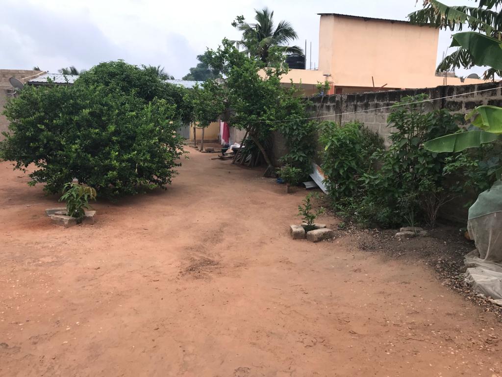 N° 5378 :
                            Terrain à vendre , Adidogome , Lome, Togo : 15 500  000 XOF/vie