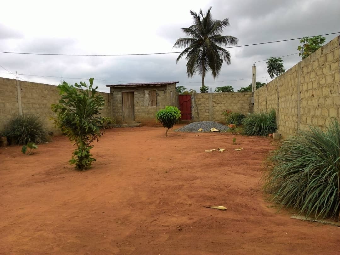 N° 4781 :
                            Maison à vendre , Adidogome, Lome, Togo : 12 000  000 XOF/vie