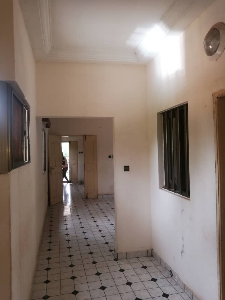N° 5022 :
                            Appartement à louer , Agoe, Lome, Togo : 100 000 XOF/mois