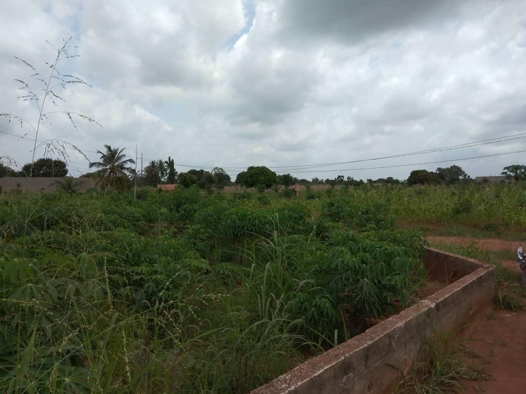N° 5068 :
                            Terrain à vendre , Djagble, Lome, Togo : 6 000  000 XOF/vie