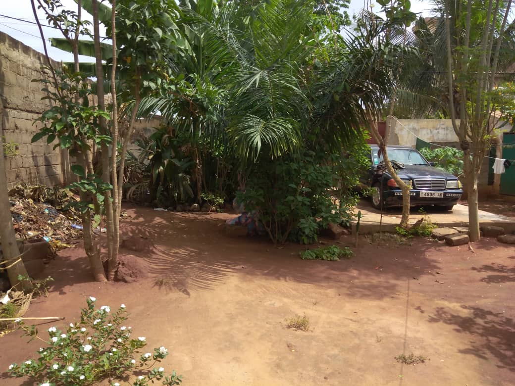 N° 5083 :
                            Maison à louer , Djidjole, Lome, Togo : 40 000  000 XOF/mois